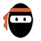 Ninja Software Services Logo